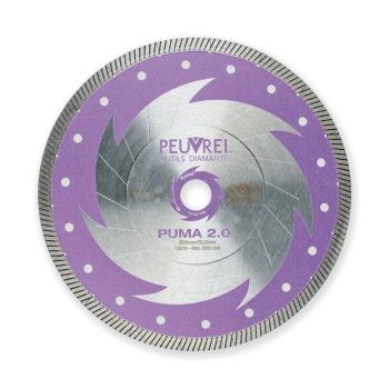 Disque PUMA 2